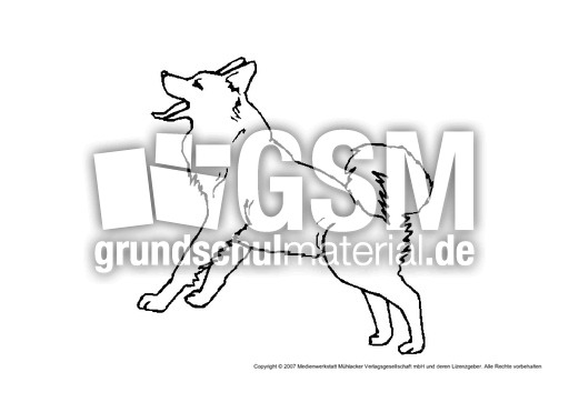Spitz.pdf